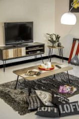 Livin Hill TV omarica 150x55x45 cm črna