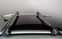 shumee AGURI RUNNER II INTEGRIRANI STREŠNI NOSILCI SREBRNI 120