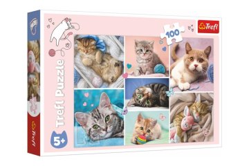 Trefl Sestavljanka V mačjem svetu/100 kosov