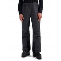 4F Hlače 185 - 188 cm/XXL WAW25TFTRM1