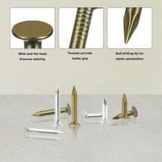 Nikcorp Žeblji za lepenko s široko glavo, pocinkani, 20 mm in 30 mm, rebrasto steblo, rjavi in srebrni, set 300 kosov