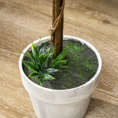 Homestar Set umetnih rastlin sivkina drevesa 24x60 cm bela