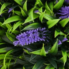 Homestar Set umetnih rastlin sivka 15x70 cm zelena