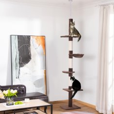 Homestar Mačje drevo 40x34x230-260 cm rjave barve