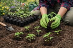 Ostatní Sejalnik Euro nářafí150527 plastika 40 x 15 x 5 cm, pakiranje 3 kosov