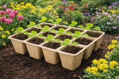 Ostatní Sejalnik Papir Euro tools 150526 21 x 17 x 5 cm, pakiranje 5 kosov