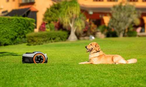 Inteligentno, enostavno ter varno