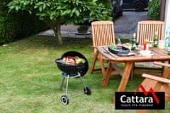 Cattara žar na oglje BARI 46 cm