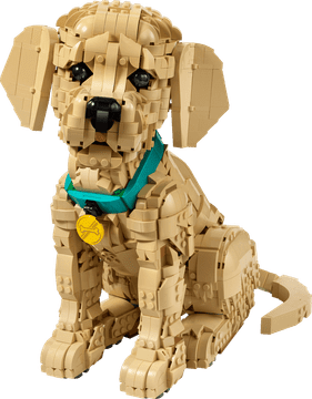 LEGO 11384 Icons Mladiček zlatega prinašalca