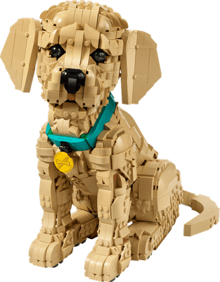 LEGO Icons 11384 Mladiček zlatega prinašalca
