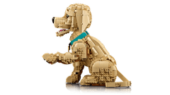 LEGO 11384 Icons Mladiček zlatega prinašalca