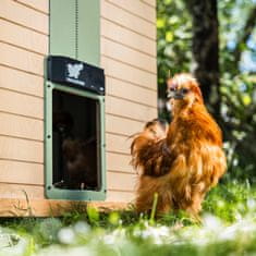 RUN-CHICKEN T50 avtomatska vrata za kokošnjak – v mint barvi (z Bluetooth)