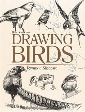 Rayher.	 Knjiga Drawing Birds