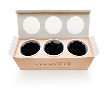 shumee Stabilizirana vrtnica - črna - saja - XL - 3 kosi