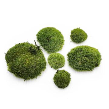 shumee Blazina iz mahu - temno zelena naravna - 0,062 m² (40x15 cm) - Francija