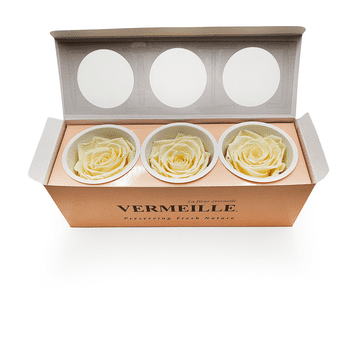 shumee Stabilizirana vrtnica - pastelno rumena - XL - 3 kosi