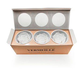 shumee Stabilizirana vrtnica - kraljevsko bela - princesa bela - XL - 3 kosi