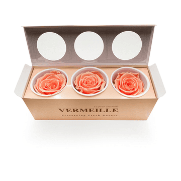 shumee Stabilizirana vrtnica - breskev - XL - 3 kosi