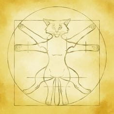 shumee Pladenj za kocke Vitruvian Cat 22x22 cm
