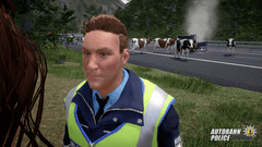 Aerosoft Autobahn Police Simulator 3 (Playstation 4)