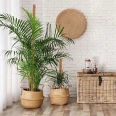 Netscroll Opora za rastline iz kokosovih vlaken, fleksibilna, 120 cm, rjava, UniquePlant.