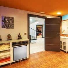 Manta MM515PSL mini hladilnik, 46L, srebrno-črn