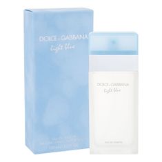 Dolce & Gabbana Light Blue toaletna voda 100 ml za ženske