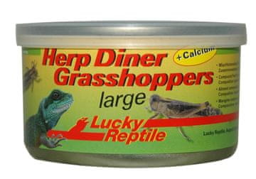 Lucky Reptile Herp Diner - sardele 35g približno 20 velikih