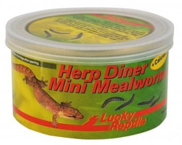 Lucky Reptile Herp Diner - mlinski črvi 35g Mlinski črvi mini 35g