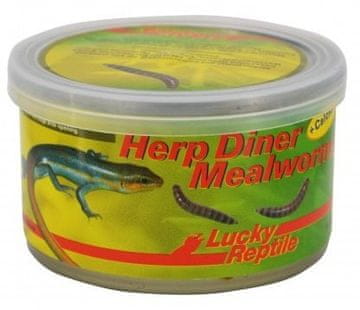 Lucky Reptile Herp Diner - mlinski črvi 35g Mlinski črvi 35g