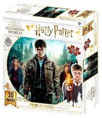 Harry Potter 3D sestavljanka - Harry, Hermiona, Ron 500 kosov