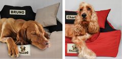 AIO FACTORY Pasja postelja KINGDOG 75x65 cm personalizirana vodoodporna rjava