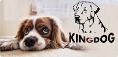 AIO FACTORY Pasja postelja KINGDOG 75x65 cm personalizirana vodoodporna rjava