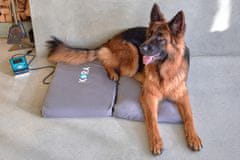 KORA magnetna blazina za pse in mačke