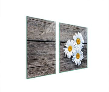 shumee STEKLENI KROŽNIK IN DESKA ZA REZANJE 100x52 DAISY