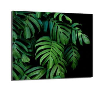 shumee Steklena zaščita za kuhalno ploščo 60x52 Monstera