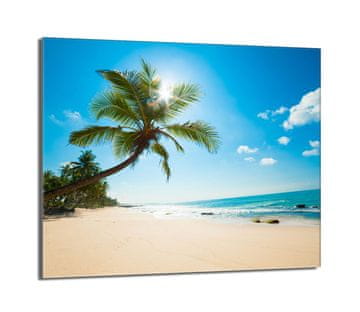 shumee Steklena zaščita za kuhalno ploščo 60x52 Beach
