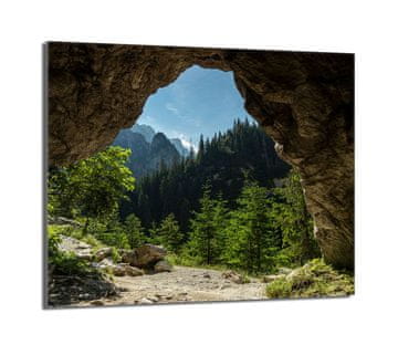 shumee Zaščita za stekleno štedilnik 60x52 Drevesa