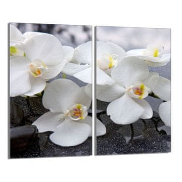 shumee Steklena zaščitna plošča za štedilnik 2x30x52 Orchidea