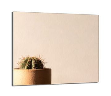 shumee Steklena zaščita za kuhalno ploščo 60x52 Cactus
