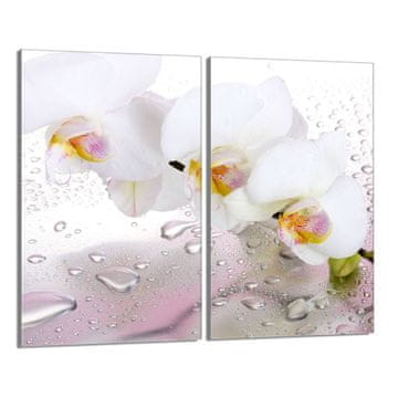 shumee Steklena zaščitna plošča za štedilnik 2x30x52 Orchidea