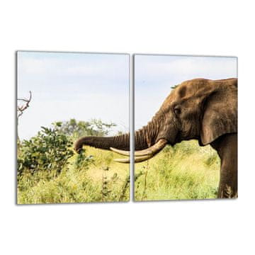 shumee Steklena zaščitna plošča za štedilnik 2x40x52 Elephant
