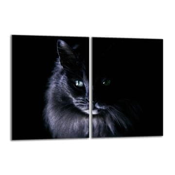 shumee Steklena zaščitna plošča za štedilnik 2x40x52 Cat