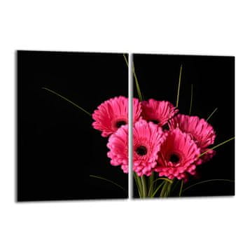 shumee Steklena zaščitna plošča za štedilnik 2x40x52 Gerbera