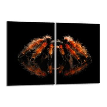 shumee Steklena zaščitna plošča za štedilnik 2x40x52 Spider