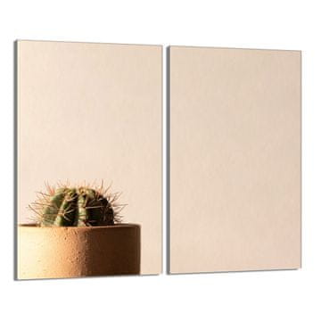 shumee Steklena zaščitna plošča za štedilnik 2x30x52 Cactus