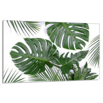 shumee Steklena zaščita za kuhalno ploščo 80x52 Monstera