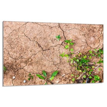 shumee Steklena zaščita za štedilnik 80x52 Rastline