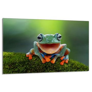 shumee Steklena zaščitna plošča za štedilnik 80x52 Frog