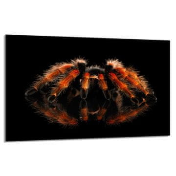 shumee Steklena zaščitna plošča za štedilnik 80x52 Spider